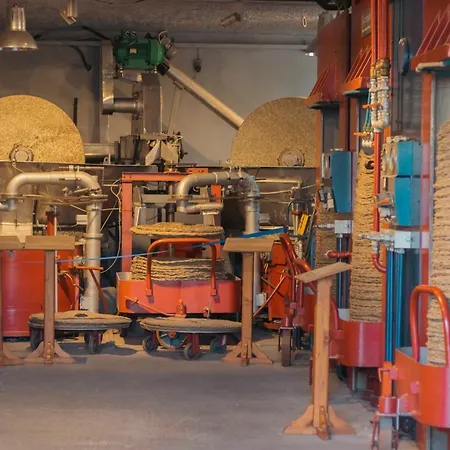 Amaya Pine Panagia (Thasos)