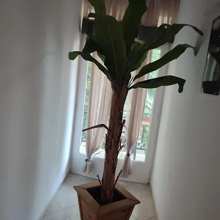 Amaya Pine Gæstehus 3*