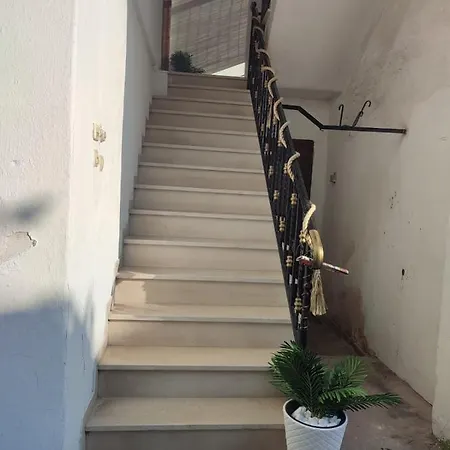 Amaya Pine Panagia (Thasos)