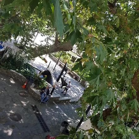 Affittacamere Amaya Pine Panagia (Thasos)