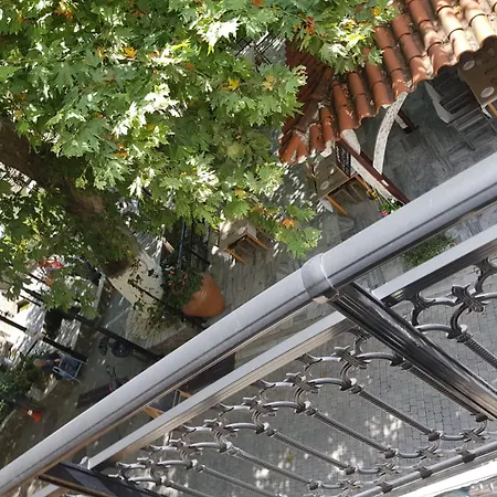 Amaya Pine Panagia (Thasos)