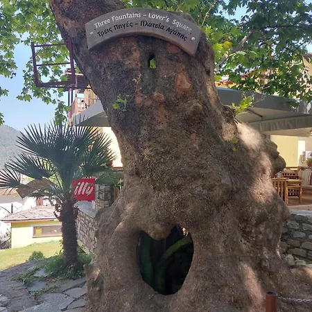 Affittacamere Amaya Pine