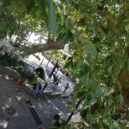 Affittacamere Amaya Pine Panagia (Thasos)