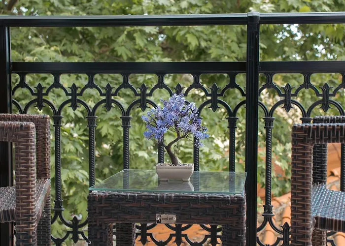 Amaya Pine Panagia (Thasos)