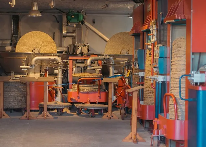 Amaya Pine Panagia (Thasos)