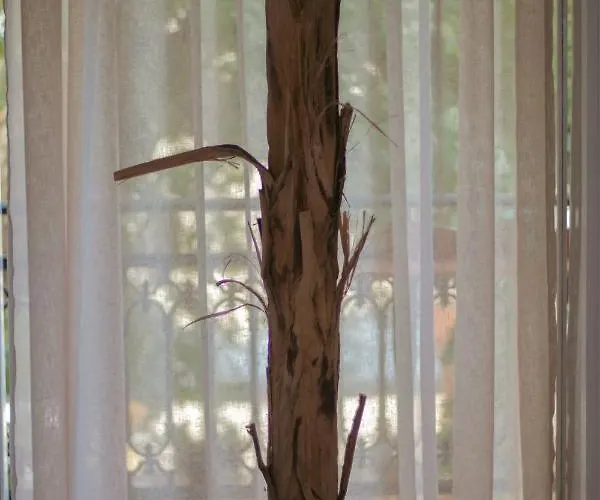 Konukevi Amaya Pine Panagia (Thasos)