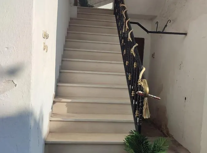 Amaya Pine Panagia (Thasos)