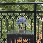 Amaya Pine Panagia (Thasos)