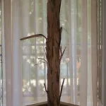 Guest house Amaya Pine Panagia (Thasos)
