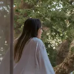 Amaya Pine Pensión 3*