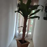 Amaya Pine Maison d'hôtes 3*