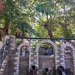 Amaya Pine Panagia (Thasos)