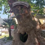Guest house Amaya Pine