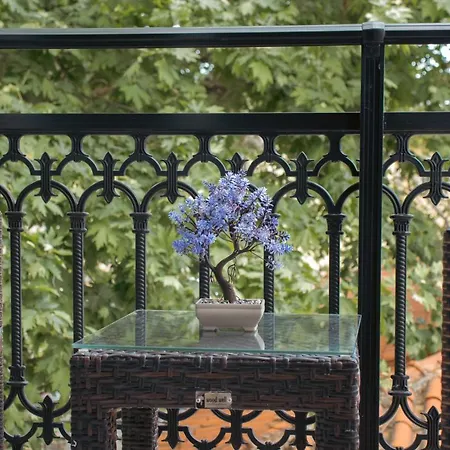 Amaya Pine Panagia (Thasos)