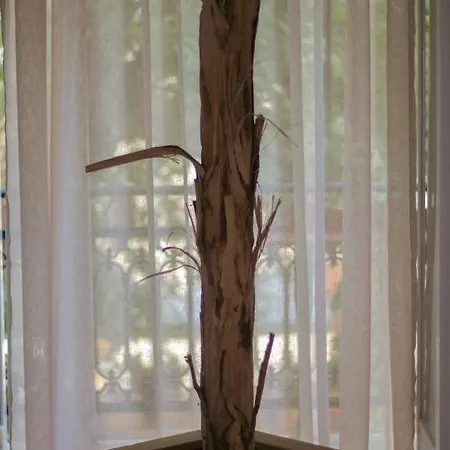 Pensión Amaya Pine Panagia (Thasos)