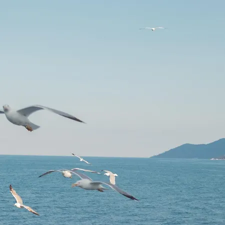 Amaya Pine Konukevi Panagia (Thasos)