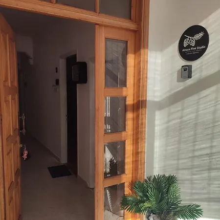 Pensión Amaya Pine 3*