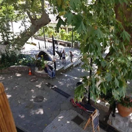 Pensión Amaya Pine 3*