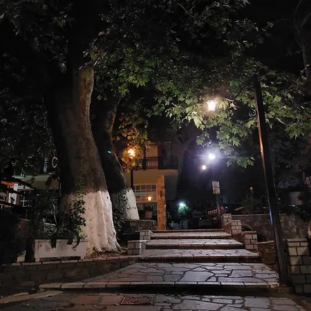 Amaya Pine Panagia (Thasos)