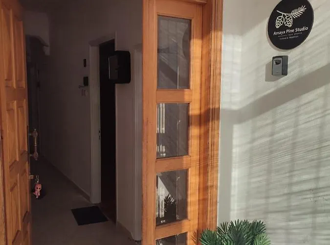 Pensiune Amaya Pine 3*