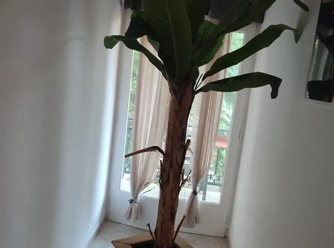 Amaya Pine Pensionat 3*