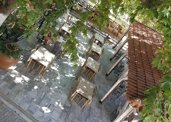 Pensiune Amaya Pine 3*